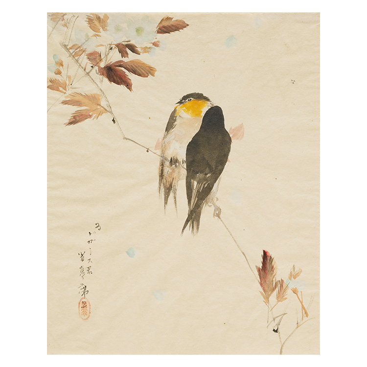 渡辺省亭―欧米を魅了した花鳥画―／特集レポート | OBIKAKE（おびかけ）